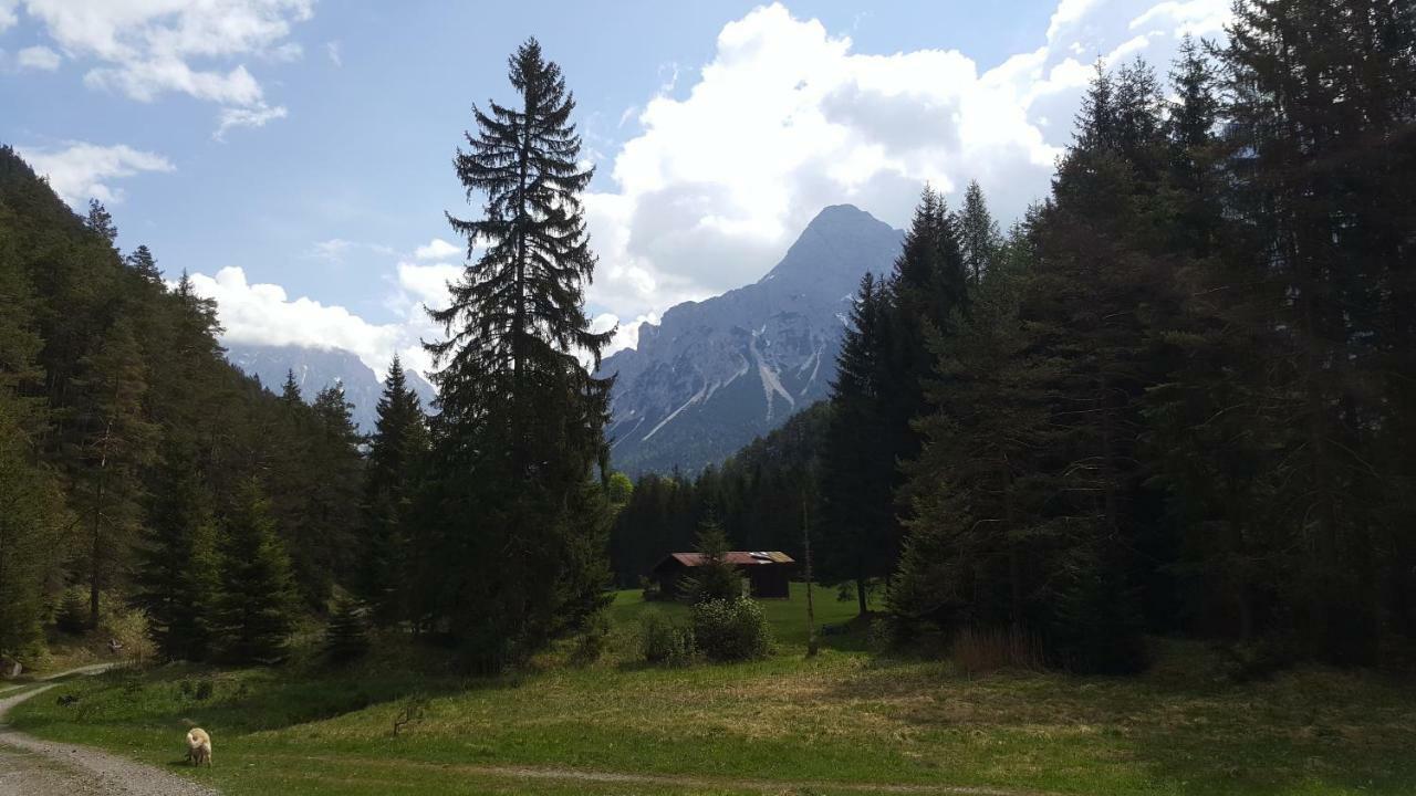 Appartement Haus Guem à Ehrwald Extérieur photo